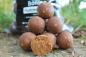 Preview: Hummer-Leber Boilies